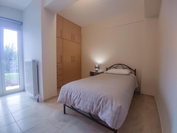 Cozy Modern Apartment Ioánnina Exteriör bild